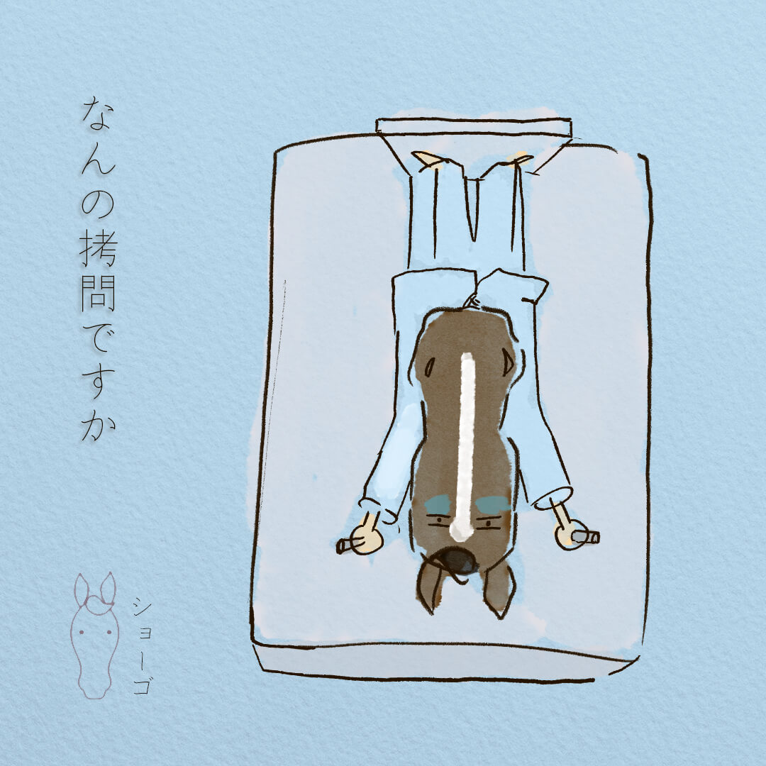 Barium やっぱり馬がスキ Presented By 馬デザイナー イラストレーター ショーゴ